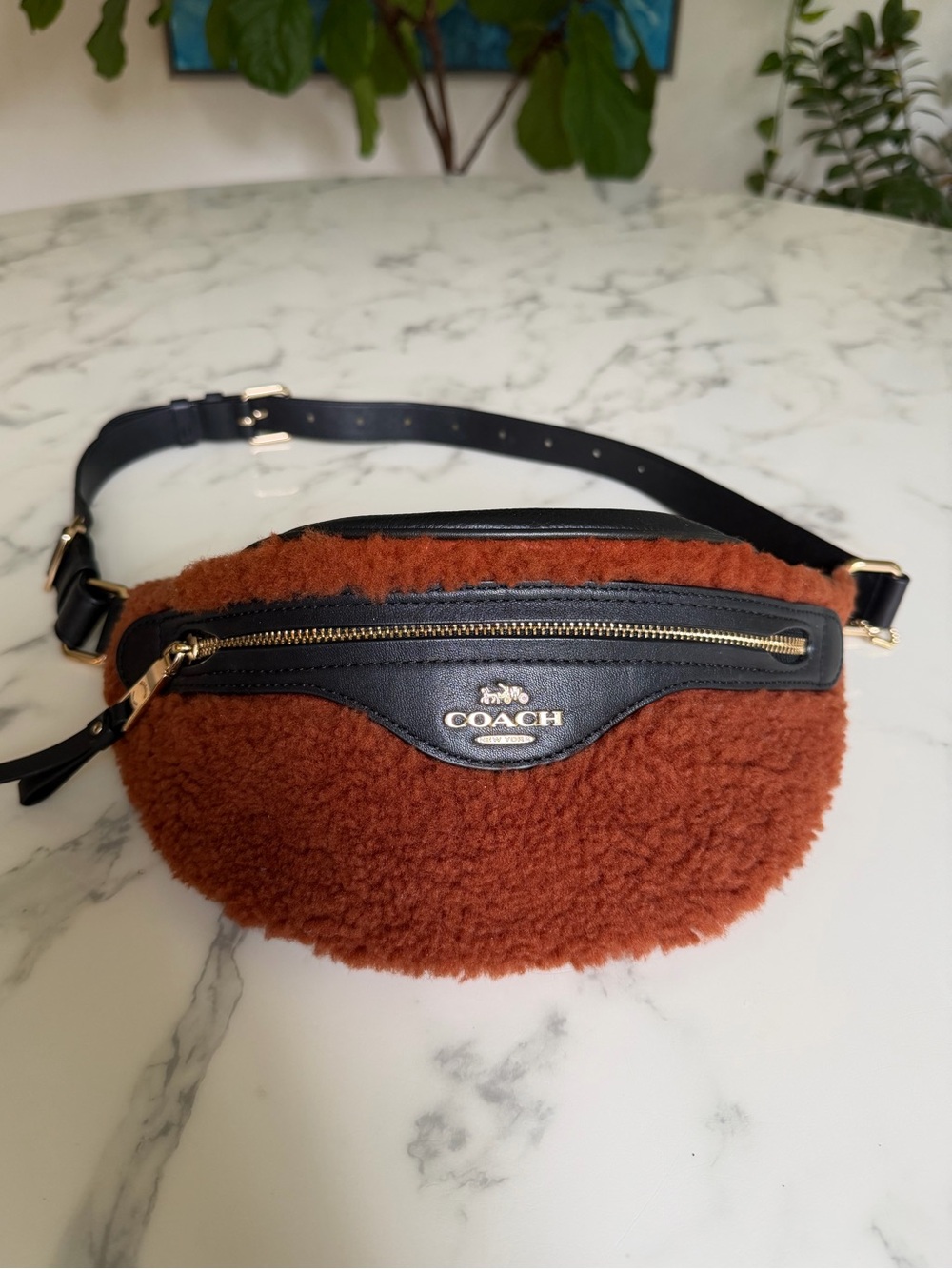 Coach Shearling & Leather Belt Bag F76662 Ginger Black Gold